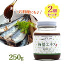 いんやん倶楽部 梅醤エキス 濃縮番茶入り 国内産有機梅干 天然醸造醤油使用 250g 2個セット