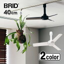 BRID ダクトレールファン DCベーシック 40 シーリングファン リモコン付き ホワイト ブラック コンパクト 超軽量 小型 003389