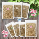 【スーパーSALEで使える!500円OFFクーポン配布中!】スモークチップ 100g (サクラ クルミ ヒッコリー ウイスキーバレル)