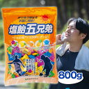 【マラソン限定クーポンで500円OFF!】レクノス 塩飴 五兄弟 800g 約200粒 ブドウ糖 塩分 個包装 梅味 レモン味 ドリンク味 パイン味 桜島小みか...