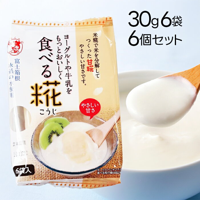 伊豆フェルメンテ 食べる糀 30g×6袋×6個セット 自然甘味ペースト 国産 砂糖不使用 米こうじ 麹