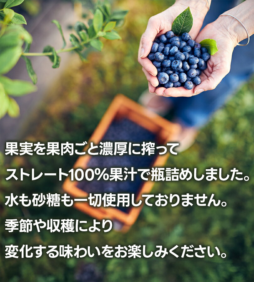 ライフスタイル&生活雑貨のMoFuの順造選 ブルーベリー100 500ml 6個セット マルカイコーポレーション｜アングル3