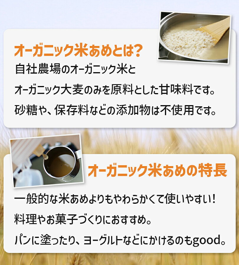【マラソン限定クーポンで500円OFF!】金沢大地 オーガニック米あめ 200g 無添加 赤ちゃんがよろこぶ cheeky-10424354 ライフスタイル&生活雑貨のMoFu サンプル画像3