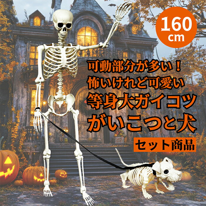 スケルトン 海賊 ガイコツ 152cm 模型 お化け屋敷 ハロウィン 海賊骸骨