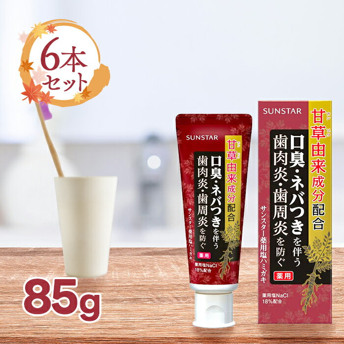 サンスター サンスター薬用塩ハミガキ 85g 6個セット 医薬部外品 歯磨き粉