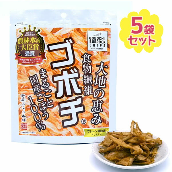 野菜チップス 国産 ゴボチ 醤油味 37g×5袋セット 無添加 お菓子 やさいスナック おつまみ ギフト