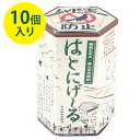 はとにげーる 鳩対策 糞害防止 鳥用 忌避剤 はとにげ ハト除け ハト避け 退治