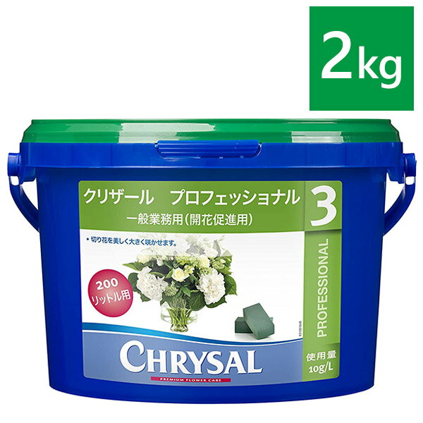 クリザール プロフェッショナル 3 2kg 粉末タイプ バケツ 延命剤 切り花活力剤 フラワーアレンジメント 業務用 CHRYSAL