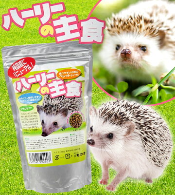 ハリネズミを飼いたい ペットにおすすめの種類や飼い方 寿命についても解説 3ページ目 暮らし の ハリネズミを飼いたい ペットにおすすめの種類や飼い方 寿命についても解説 3ページ目 暮らし の