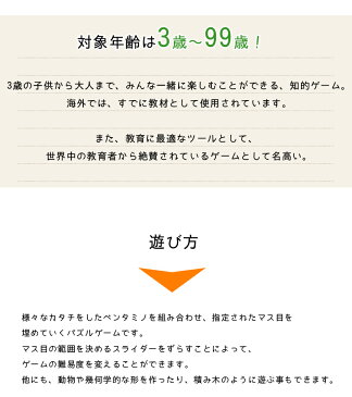 【ポイント12倍!】【送料無料】 ギガミック カタミノ 正規輸入品 パズルゲーム Gigamic KATAMINO 3歳〜 知育玩具 木製おもちゃ 脳トレ