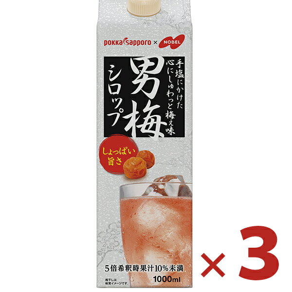 ポッカサッポロ 男梅シロップ 1000ml×3本セット 業務用 紙パック 5倍希釈 かき氷 カクテル 割り材 サワー