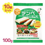 テンペ 100g×10個セット 国産大豆使用 無添加 タンパク質豊富 食物繊維 発酵食品 マルシン食品