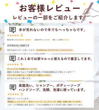 【送料無料】 多目的洗剤 ココナツ 4リットル エコ ブルーシーインターナショナル オーガニック洗剤