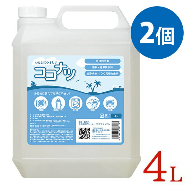 環境洗剤(エコ洗剤) 衣類 キッチン用 ココナツ洗剤 4L×2個セット 多目的 香料無添加 洗浄剤 ブルーシーインターナショナル