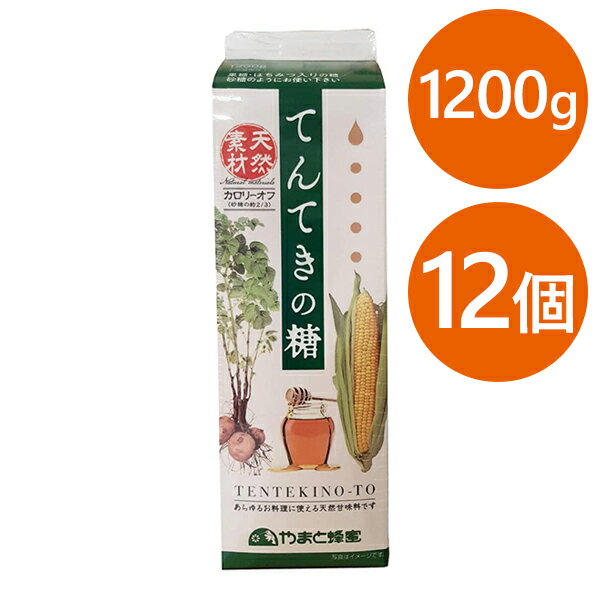 天然甘味料 てんてきの糖 1200g×12本セット 紙パック はちみつ入り