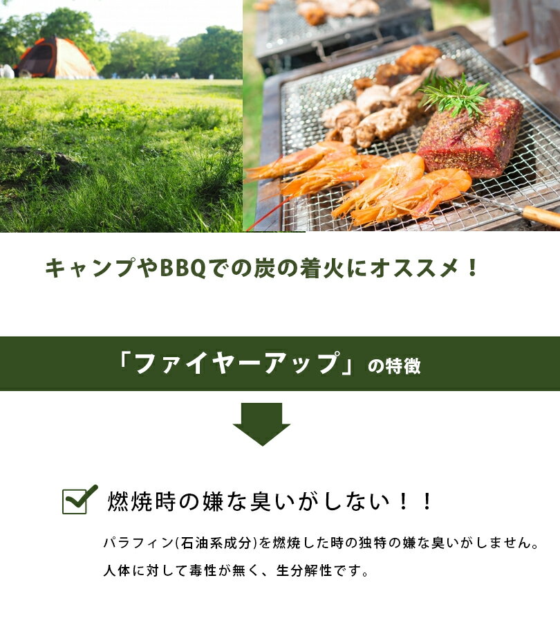 着火剤 ファイヤーアップ 100キューブ×6バケットセット 固形燃料 薪ストーブ 着火材 アウトドア バーベキュー ファイアーアップ Fire up通販格安セール情報 楽天 通販