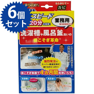 【送料無料】 根こそぎ革命 6個セット 洗濯槽・風呂釜洗い ハイスピード洗浄 隠れた汚れ 業務用 発泡促進剤付き 宮崎化学