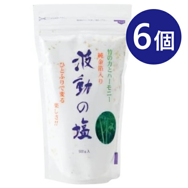 波動の塩 450g×6個セット 金箔入り チャック付きポリ袋入り 調味料 食塩 お清めの塩 料理 ギフト 持ち歩き