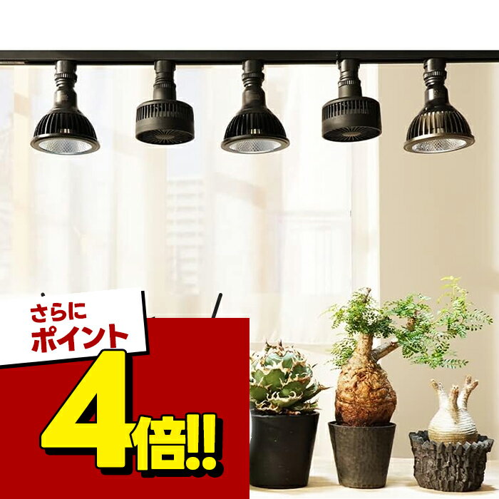 エクメア AECHMEA-BK ブラック ホワイト 植物用ファン 植物育成 送風機 風量調整 静音設計