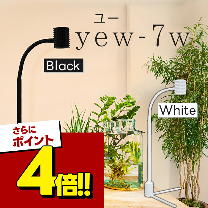 楽天市場】barrel plant lightの通販