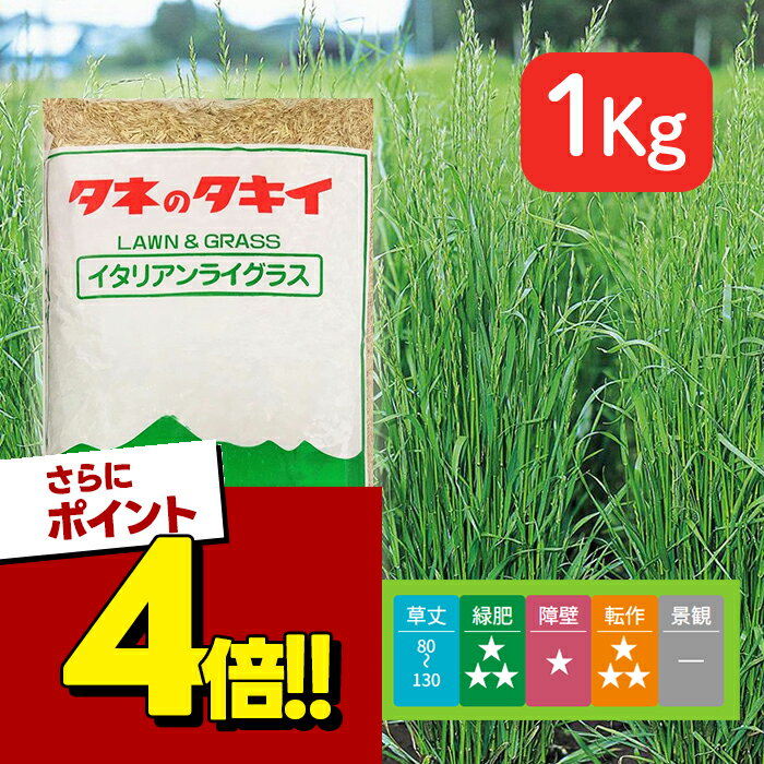 楽天市場】イタリアンライグラス 1kgの通販
