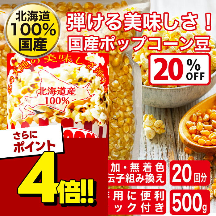 【スーパーSALEで使える 500円OFFクーポン配布中 】北海道産 ポップコーン用 豆 国産 500g 遺伝子組み換えなし 無添加 とうもろこし 食物繊維 業務用 縁日 お菓子つくり 手作り