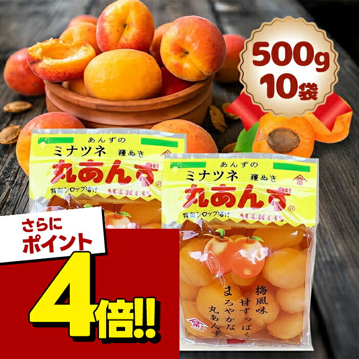【スーパーSALEで使える!500円OFFクーポン配布中!】ミナツネ 丸あんず シロップ漬け 500g×10個セット 種ぬき 梅風味 駄菓子 杏 フルーツ 48011