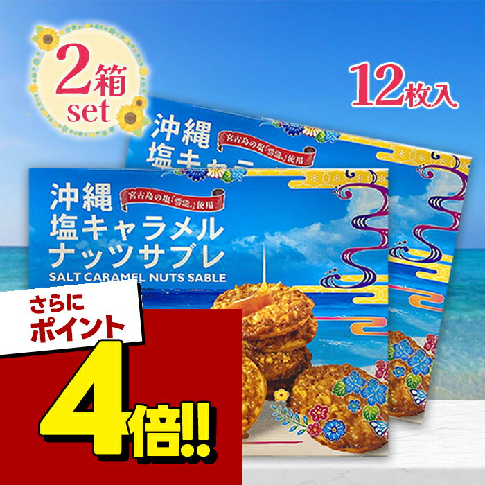 【スーパーSALEで使える!500円OFFクーポン配布中!】南風堂 塩キャラメルナッツサブレ 小 1 ...