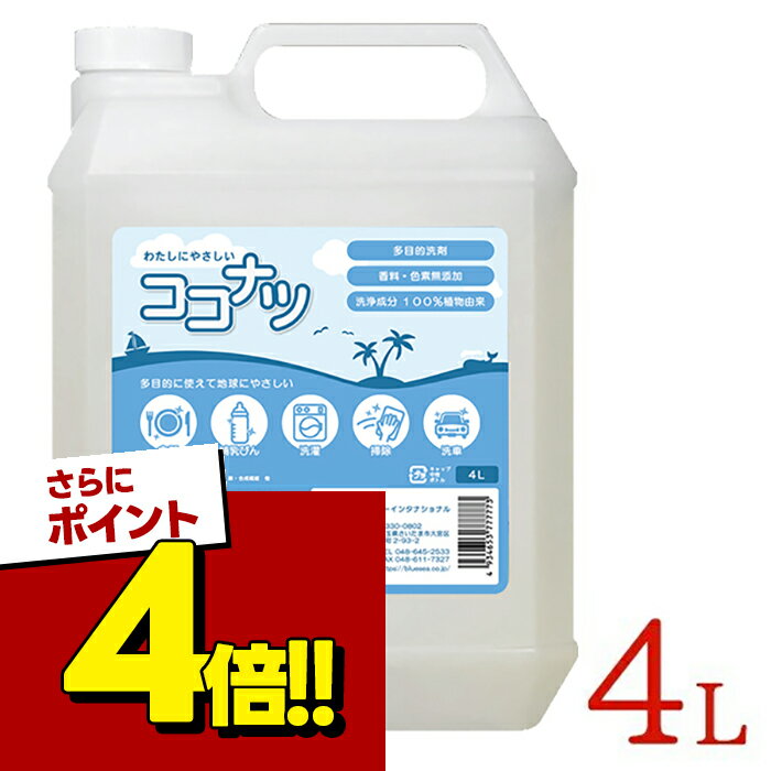 【スーパーSALEで使える!500円OFFクーポン配布中!】環境洗剤(エコ洗剤) 衣類・キッチン用 ココナツ洗剤 4L 多目的 香料無添加 洗浄剤 ブルーシーインターナショナル ブルーシーインターナショナル
