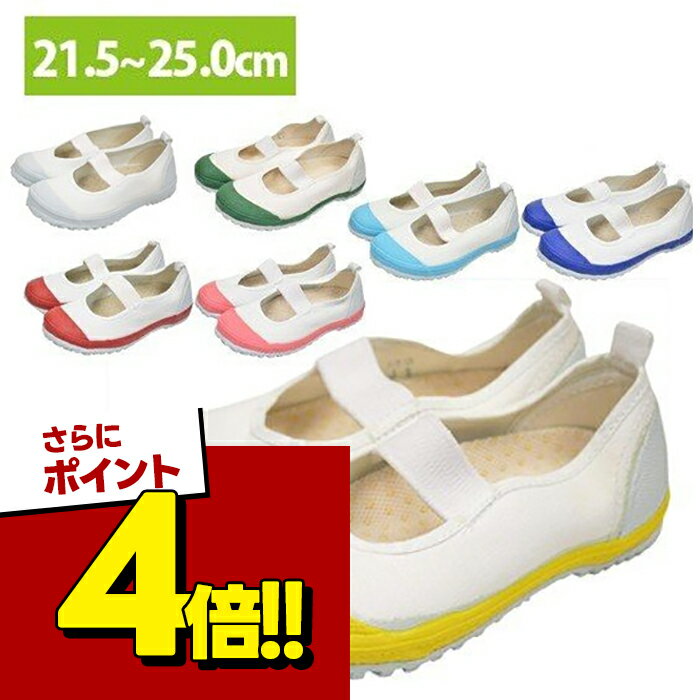 【スーパーSALEで使える 500円OFFクーポン配布中 】上履き 教育シューズ バレーDX 21.5ー25cm 室内履き スクールシューズ 子供 女の子 男の子 上靴