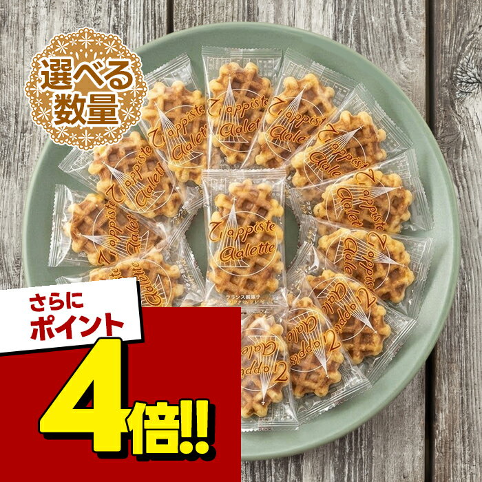 【スーパーSALEで使える!500円OFFクーポン配布中!】トラピストガレット シリーズ B箱(12 ...