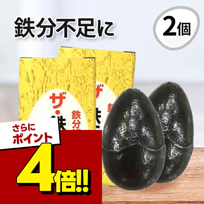 【スーパーSALEで使える!500円OFFクーポン配布中!】南部鉄器 鉄分補給 ザ・鉄玉子 2個セット 鉄たまご ナス・黒豆煮物の色出し 貝の砂抜き キッチン便利グッズ サカモト商会