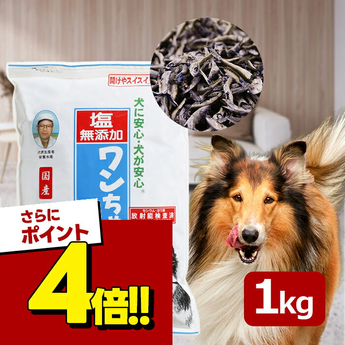 【スーパーSALEで使える!500円OFFクーポン配布中!】犬 おやつ 塩無添加 国産 ワンちゃんにぼし お徳用 1kg 犬用 おつまみ煮干し ドッグフード 大容量 サカモト ペット 業務用 いりこ 減塩 徳用