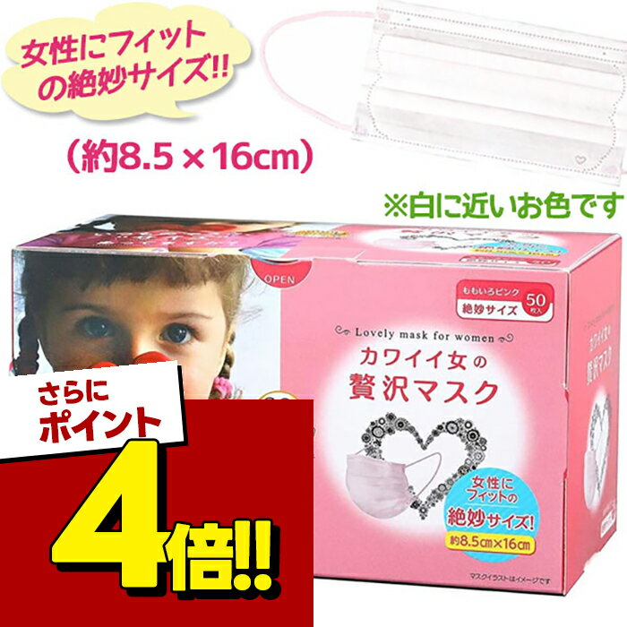 【スーパーSALEで使える!500円OFFクーポン配布中!】不織布 マスク 小顔 小さめ 立体 プリーツ カワイ...
