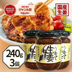 うまくて生姜ねぇ 240g×3個セット しょうが 国産 醤油漬け ごはんのお供 お弁当 調味料 おつまみ 肴 ご当地 吾妻食品