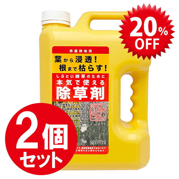 除草剤 非農耕地用 4L 2個セット 雑草対策 草刈り不要 液体タイプ 大容量 業務用 家庭用 日本製 多年生雑草 一年生雑草 除去 スギナ 根から枯らす 根こそぎ 庭 公園 道路 駐車場 宅地 強力