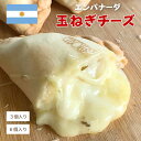 エンパナーダ 玉ねぎチーズ 人気 お取り寄せ 冷凍食品 簡単 ミートパイ ギフト パーティー 女子会食べ比べ 誕生日 南米 アルゼンチン セット パック 手土産...