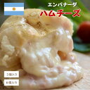エンパナーダ ハム チーズ ギフト パーティー 女子会 食べ比べ 誕生日 南米 アルゼンチン 人気 お取り寄せ パイ 冷凍食品 簡単 セット パック 手土産 贈...