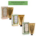 Panierdessens(パニエデサンス) パニエデサンス アブソリュート ハンドクリーム75ml 75ミリリットル (x 1)