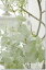 アンティーク風 雑貨 造花 インテリアグリーン 観葉植物 フェイクグリーン【造花 パリスユーカリ 1本(セージグリーン)】アートフラワー