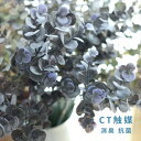 CT触媒 ユーカリ ブラック 造...