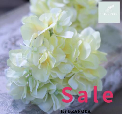 【スーパーセール クーポン配布中