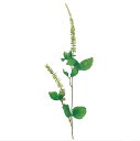 アンティーク風 雑貨 造花 フェイクグリーン インテリア 観葉植物【造花 バジル グリーン】長さ50×穂15~20cm