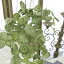 【メール便340円★】造花 フェイクグリーン インテリアグリーン 観葉植物【造花 ユキノシタバイン】アンティーク雑貨