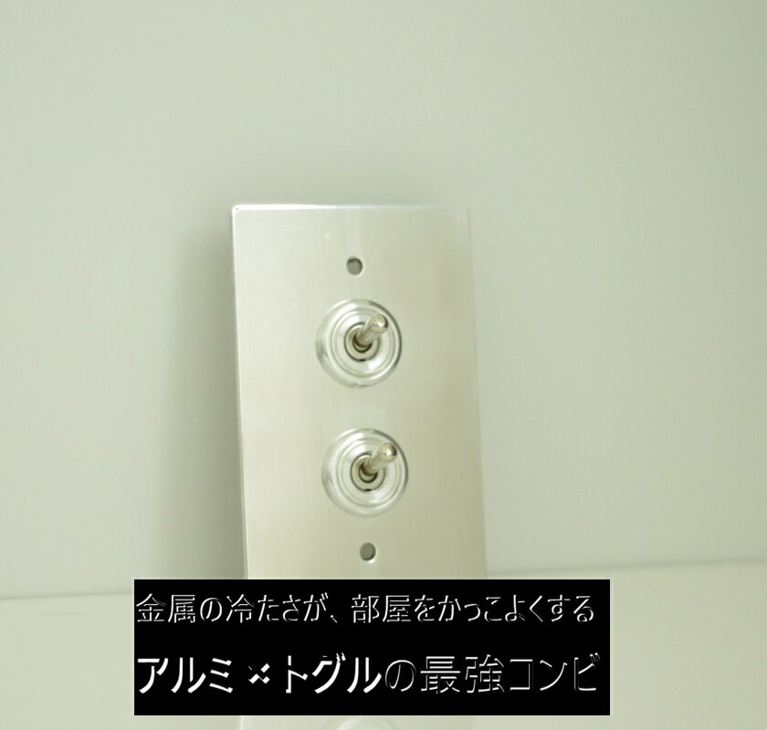 トグルスイッチプレート アルミ 2口 アンティーク調 スイッチカバー DIY インテリア 巾75mm×奥行2.5mm×高さ120mm 3月24日（火）入荷予定
