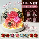 プリザーブドフラワー ガラスドーム 本物の花 カーネーション フラワー おしゃれ LED 枯れない花 プレゼント ホワイトデー 母の日 敬老の日 記念日 お見舞い