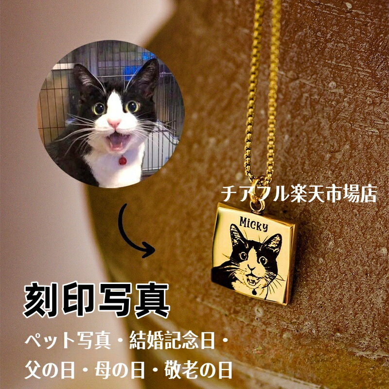 オリジナル ネックレス アクセサリー オーダーメイド ペット オーダーメイド 癒しグッズ 犬 猫 動物 かわいい クリスマス プレゼント ギフト 送料無料 誕生日 記念日 カップル クリスマス 名前が入れられる