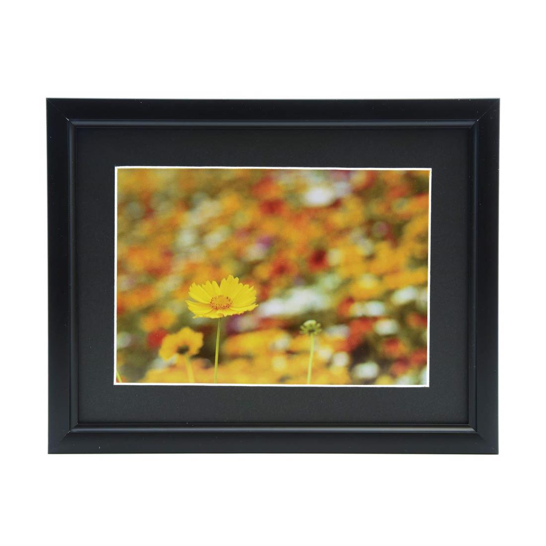 FUJICOLOR アルミ額縁 A33 キャビネ 2L ブラック 306716