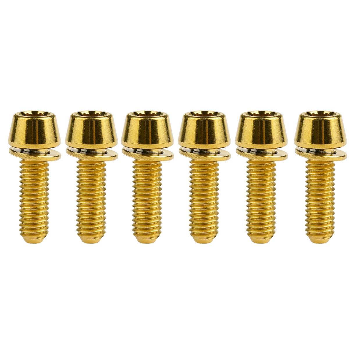 Dingtai 6個入 ワッシャーテーパーヘッドボルトM5x 16 18 20mmゴールチタンバイク...