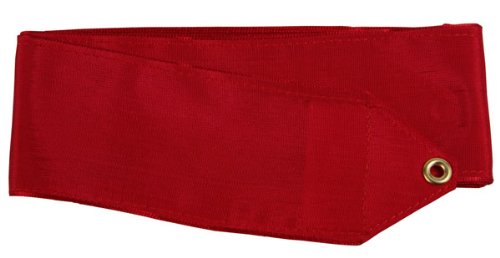 ササキ(SASAKI) レーヨンジュニアリボン レッド R MJ714